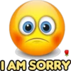 I AM SORRY