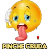 PINCHE CRUDA