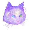 Cosmic Cats 5