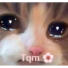 lol 9