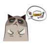 Cute Grumpy Ca 5