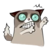 Cute Grumpy Ca 6