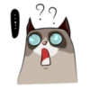 Cute Grumpy Ca 7