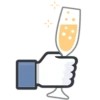 Facebook Likes 5