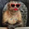 Memes Del Monito 9