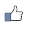 Facebook Likes 7