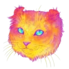 Cosmic Cats 6