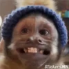 Memes Del Monito 10