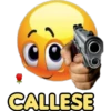 CALLESE