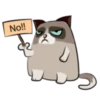 Cute Grumpy Ca 9