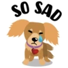 SO SAD