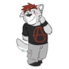 husky 5