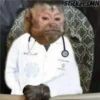 Memes Del Monito 13