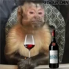 Memes Del Monito 15