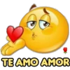 TE AMO AMOR