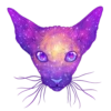 Cosmic Cats 7