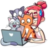 MiaCat 17