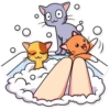 MiaCat 19
