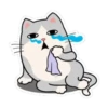 Little kitty 8