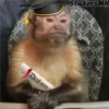 Memes Del Monito 17