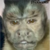 Memes Del Monito 18