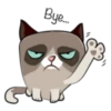 Cute Grumpy Ca 10