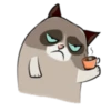 Cute Grumpy Ca 11