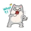 W
What
?!