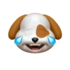 Cachorrinho memoji 12