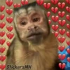 Memes Del Monito 23
