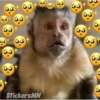 Memes Del Monito 24