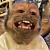 Memes Del Monito 25