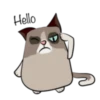 Cute Grumpy Ca 13