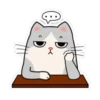 Little kitty 11