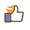 Facebook Likes 11