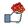 Facebook Likes 12