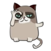 Cute Grumpy Ca 14