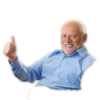 "Hide The Pain" Harold 9