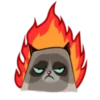Cute Grumpy Ca 16