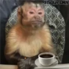 Memes Del Monito 30