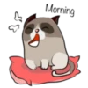 Cute Grumpy Ca 17