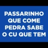 PASSARINHO
QUE COME
PEDRA SABE
O CU QUE TEM