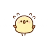 Little Chick 8