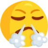 Messenger Emoji 10