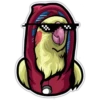 birdbro 5