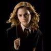 Harry potter 5