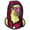 birdbro 8