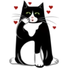 LENTOV cats 7