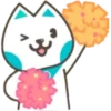 CoinEx Kitty 8