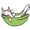 LENTOV cats 9
